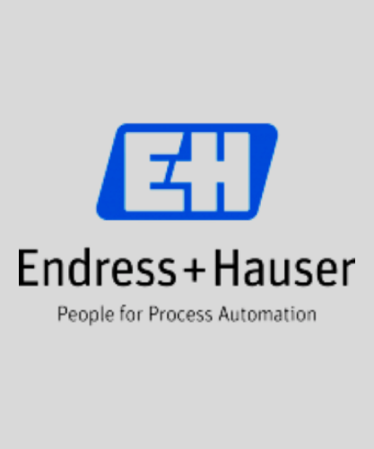 Endress + Hauser