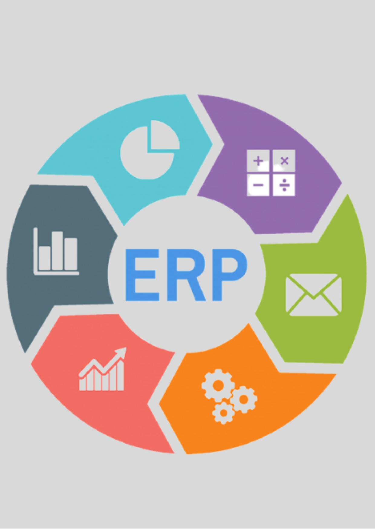 Enterprise Resource Planning